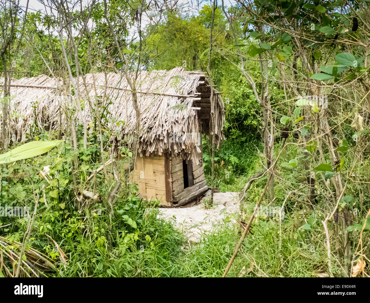 Grashütte Toilette am Mystery Island, Vanuatu Stockfoto
