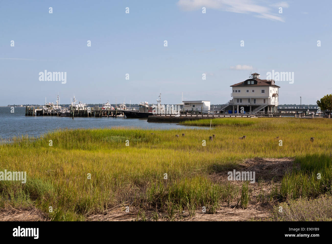 Restaurierte Salzwiesen am Ende des Waterfront Park, Charleston, South Carolina, Stockfoto