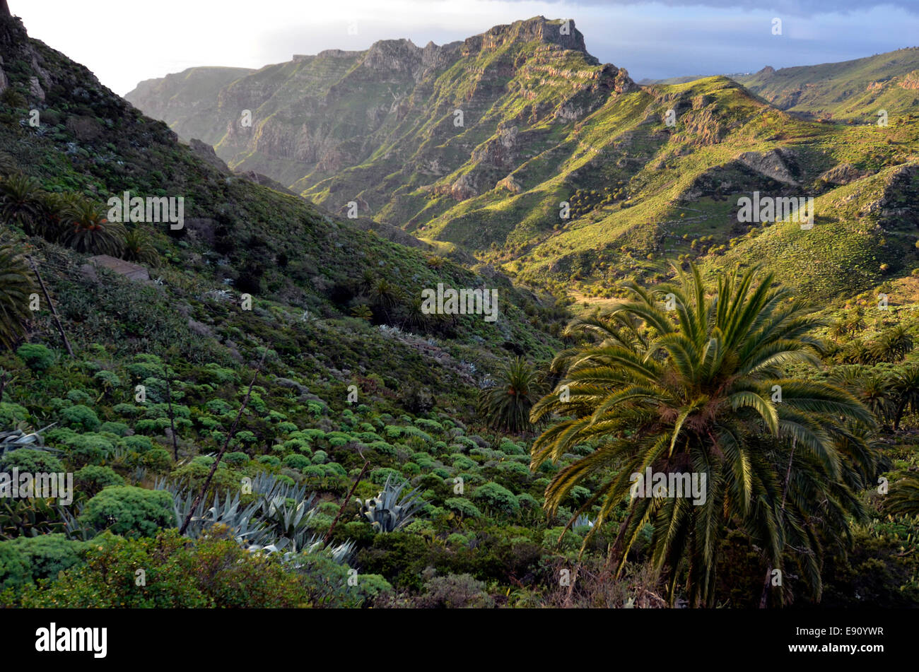 La Gomera Kanarische Inseln Stockfoto