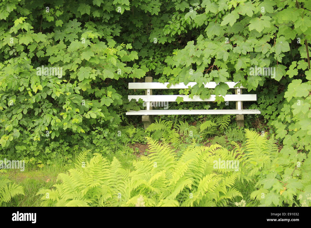 weiße bank Stockfoto