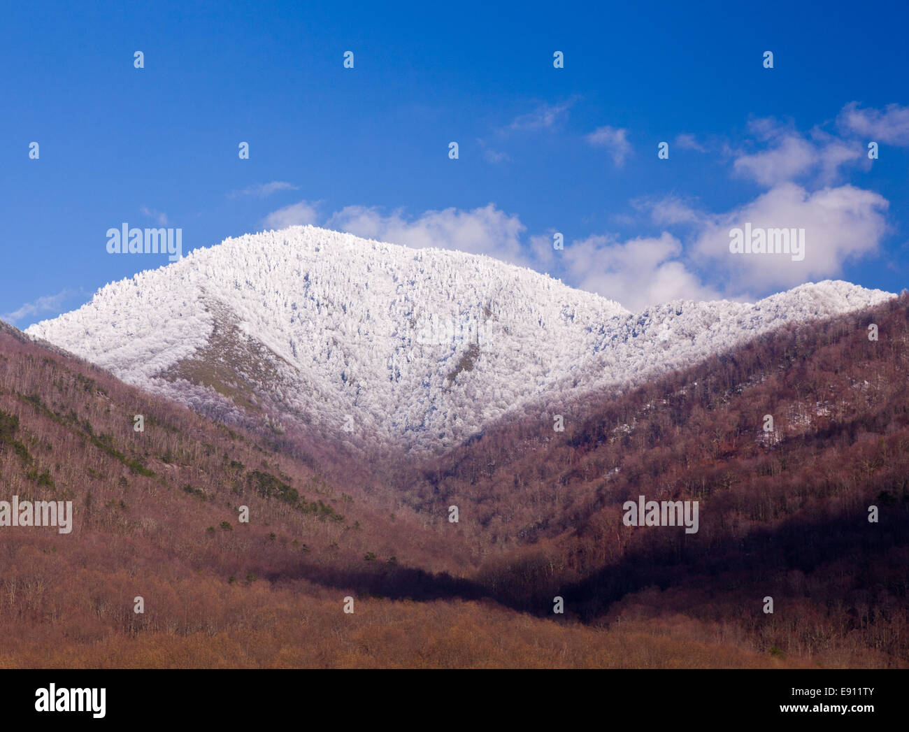 Mount Leconte im Schnee in smokies Stockfoto