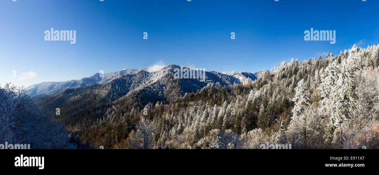 Mount Leconte im Schnee in smokies Stockfoto