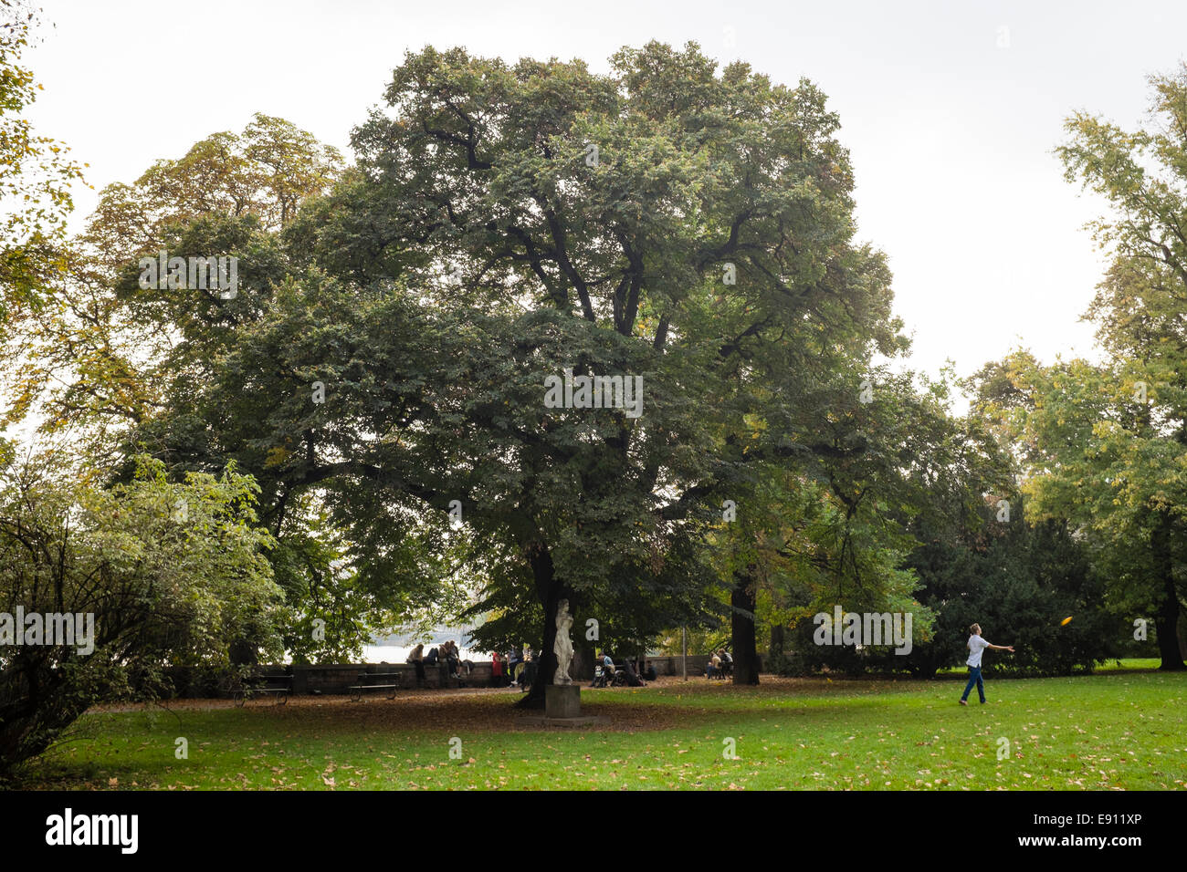 Praha, Prag, Kampa. Ein Junge spielt frysbie Stockfoto