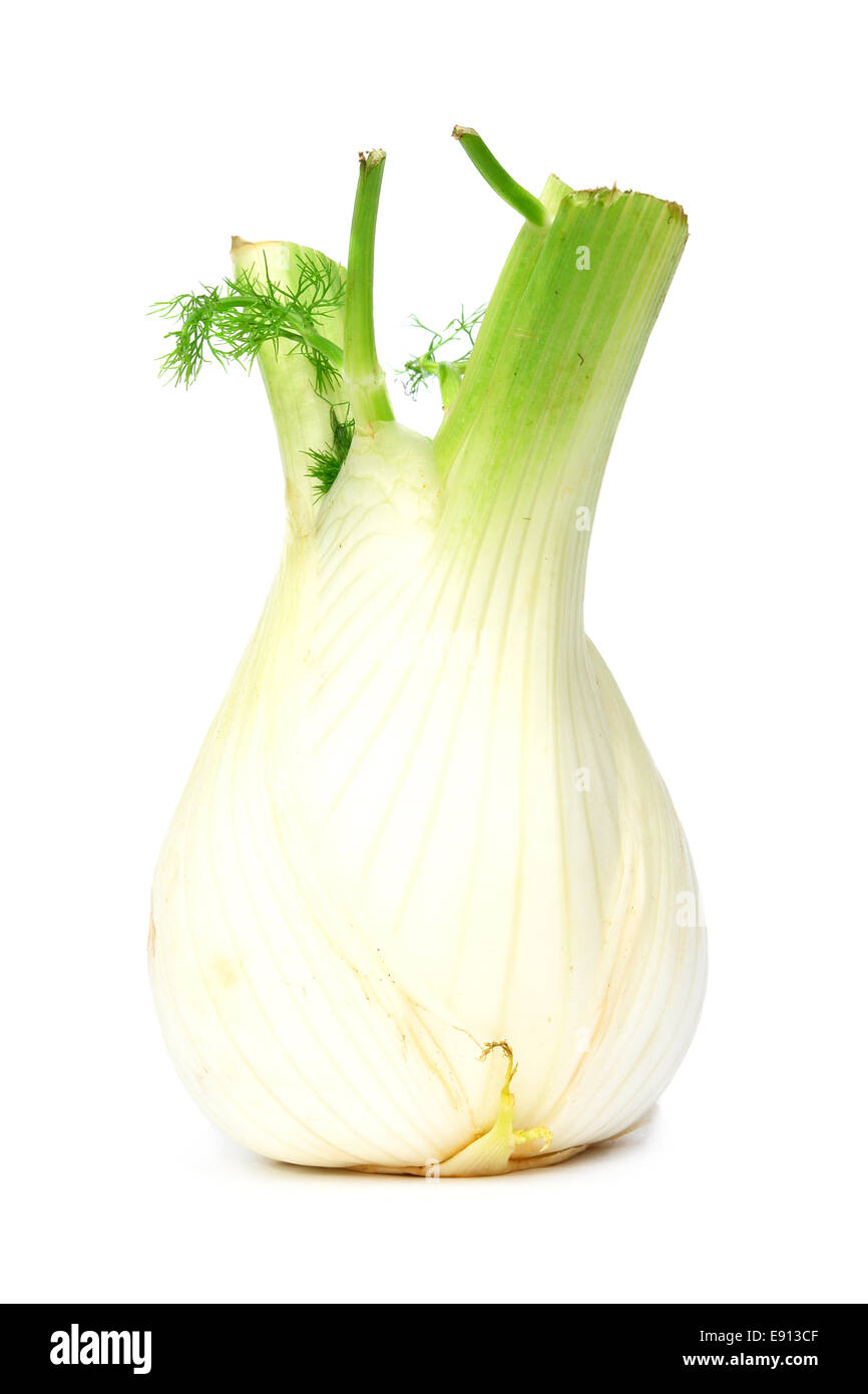 Fenchel-Zwiebel Stockfoto