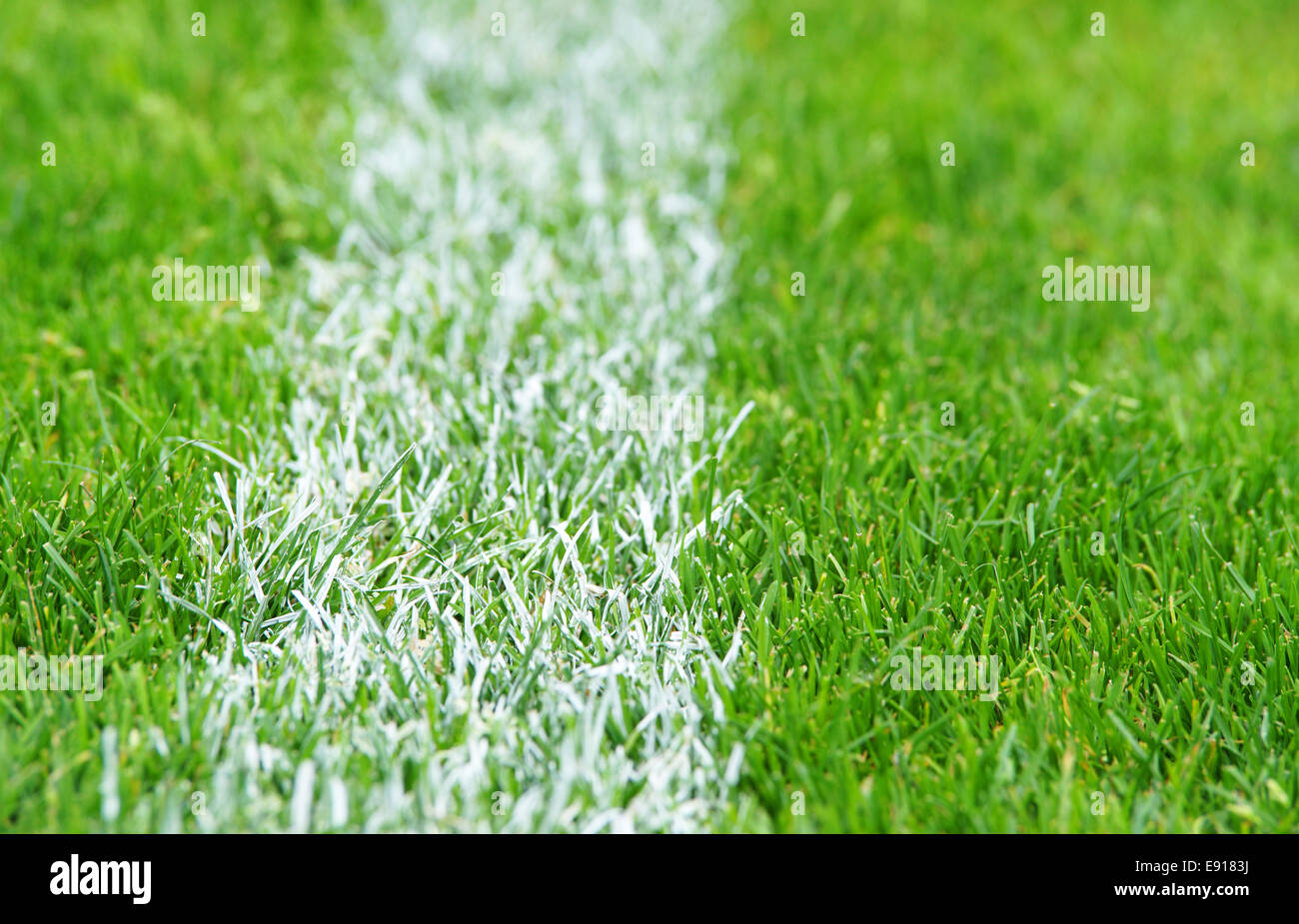 FußballRasen Nahaufnahme Stockfotografie Alamy