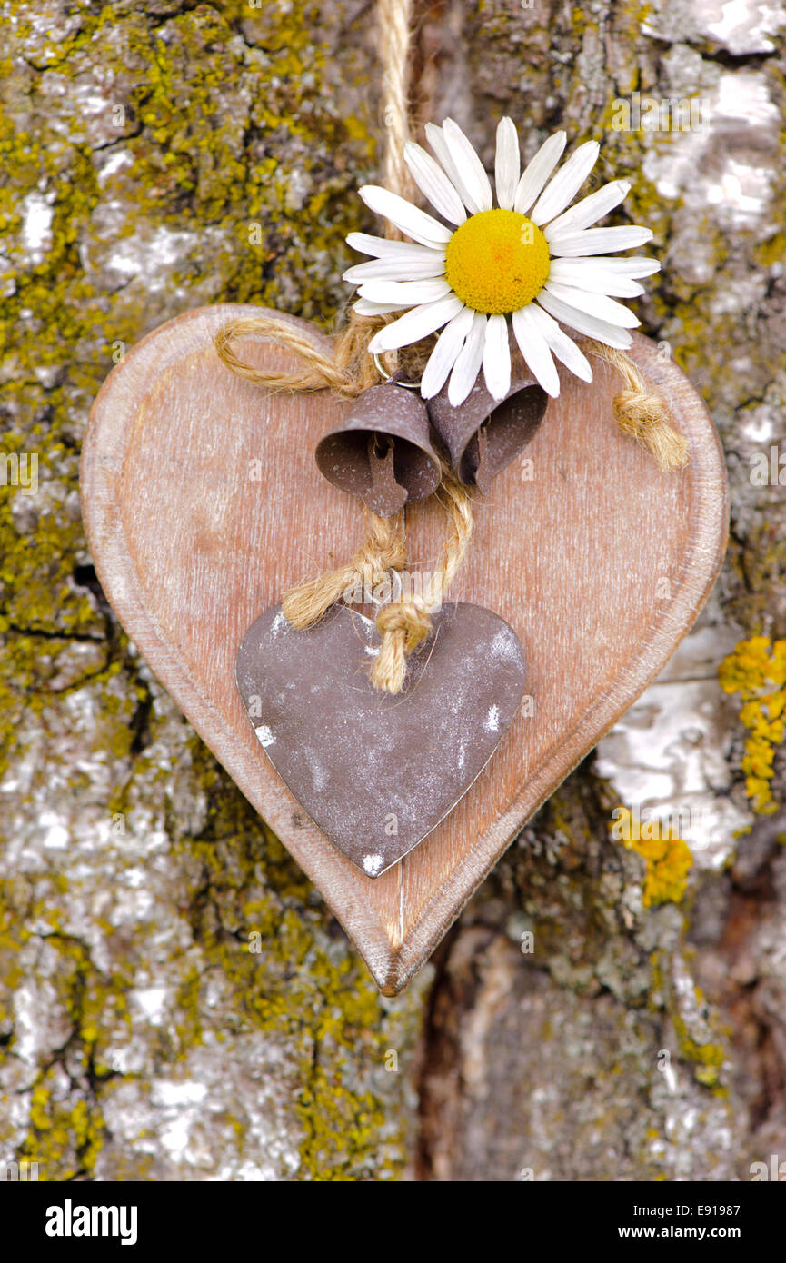 Herz aus Holz auf Baumrinde als Symbol für die Liebe Stockfoto