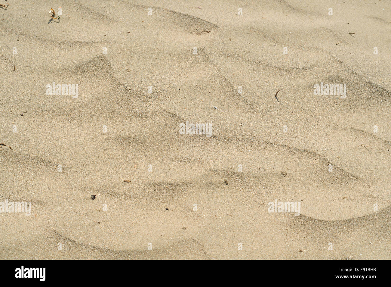 Hell gelblich Sand typisch für einige Teile der Region Northland auf der Nordinsel Neuseelands bilden kleine Dünen in der Wüste Land. Stockfoto