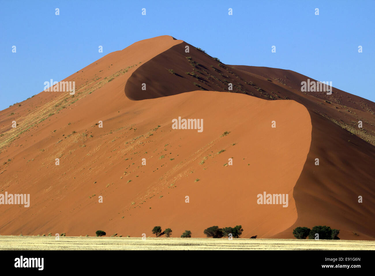 Sanddüne im Namib-Naukluft-Nationalpark Stockfoto