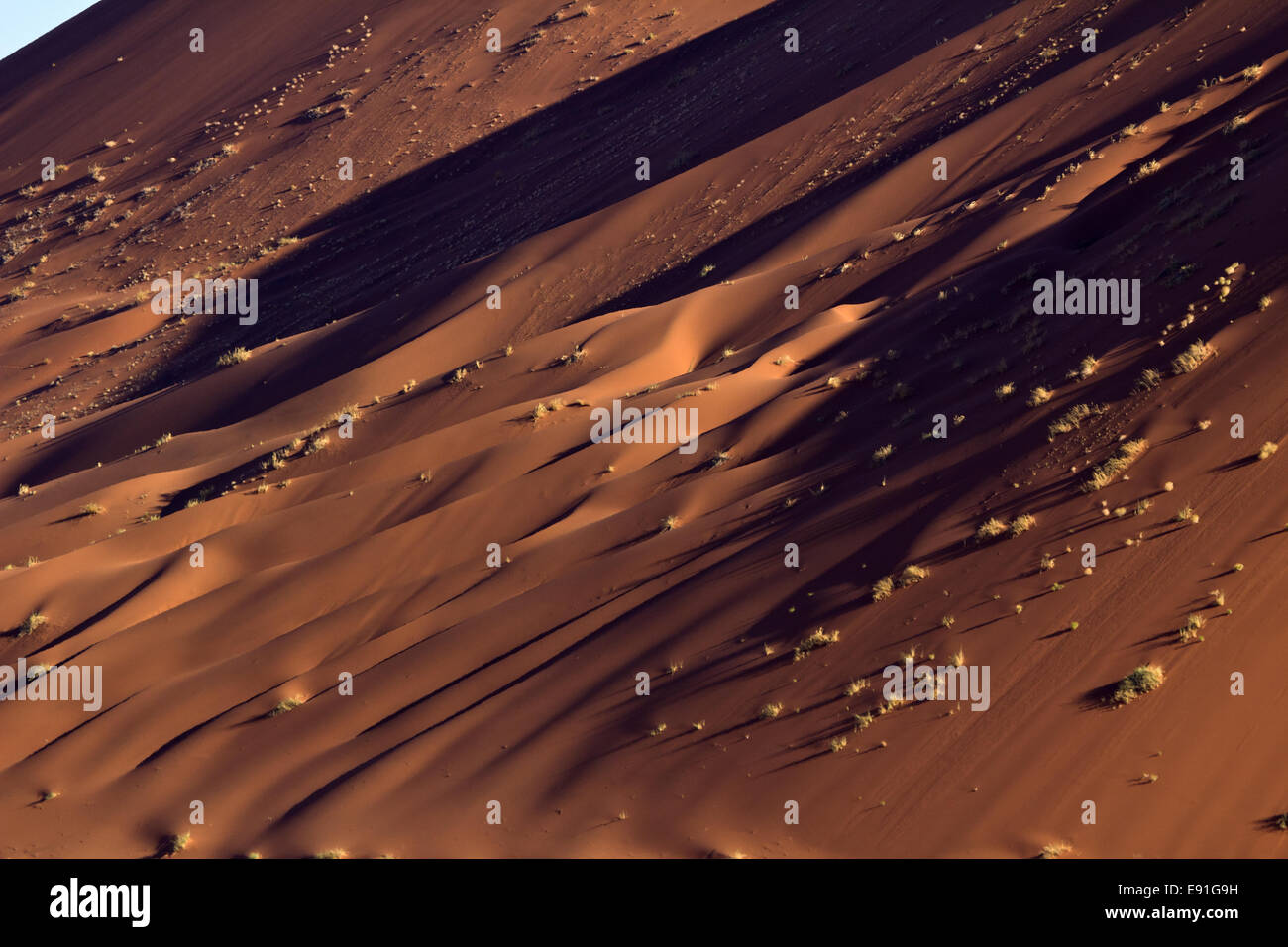 Sanddüne in der Namib-Naukluft-Park in Namibia Stockfoto