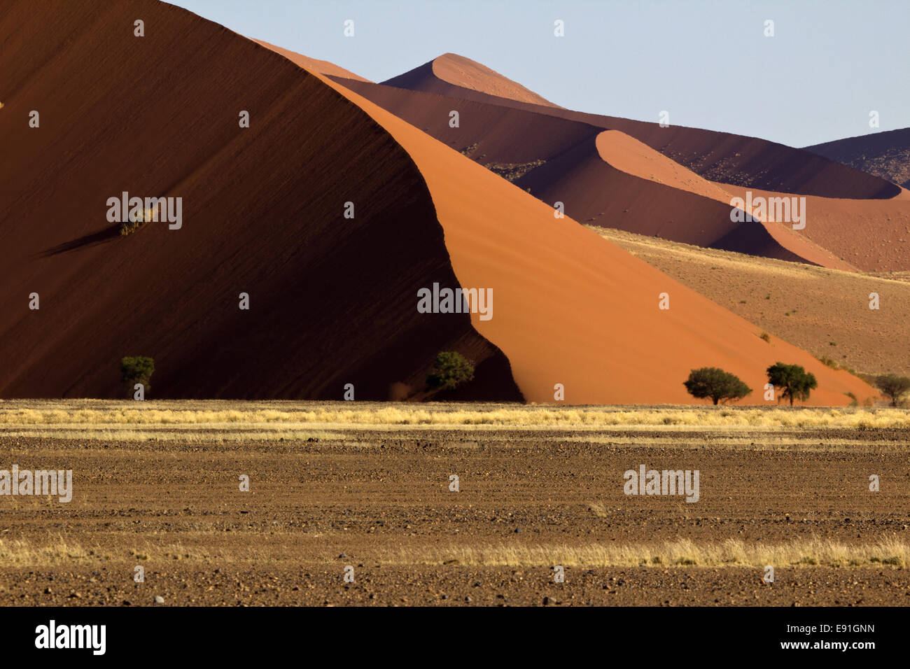 Sanddünen in der Namib Stockfoto