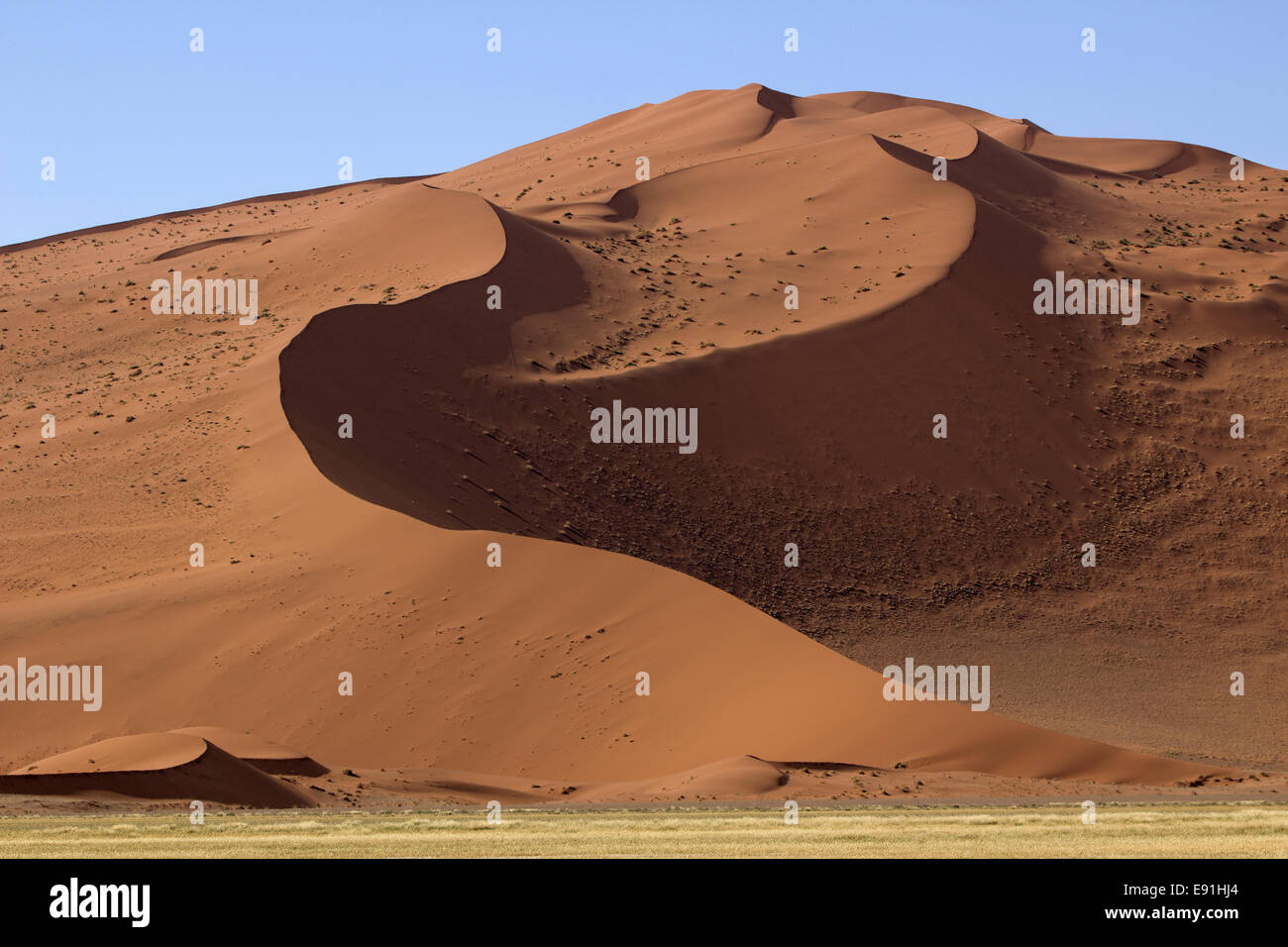 Sanddüne in der Namib-Naukluft National Park Stockfoto