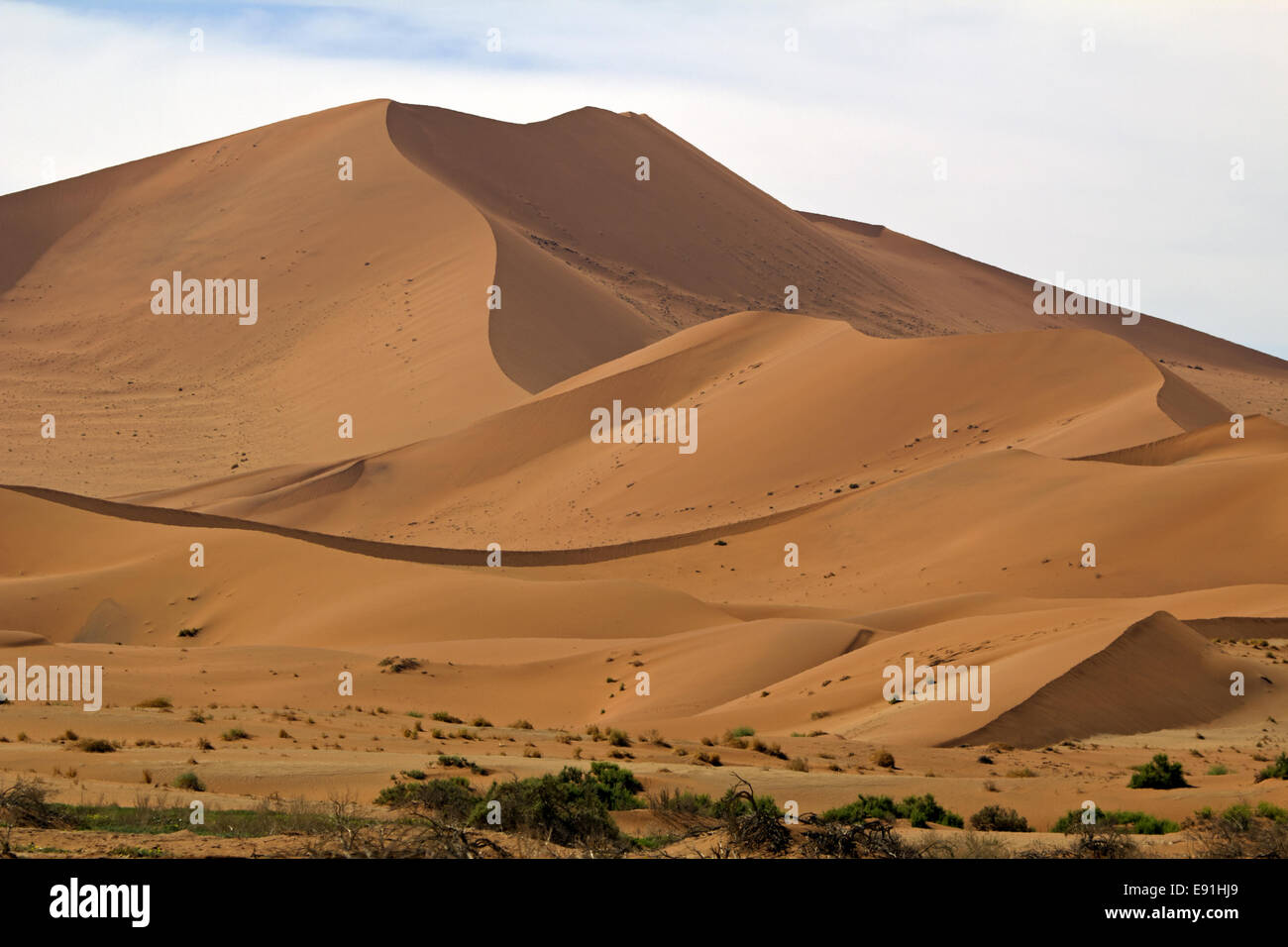Sanddüne in der Namib-Naukluft National Park Stockfoto