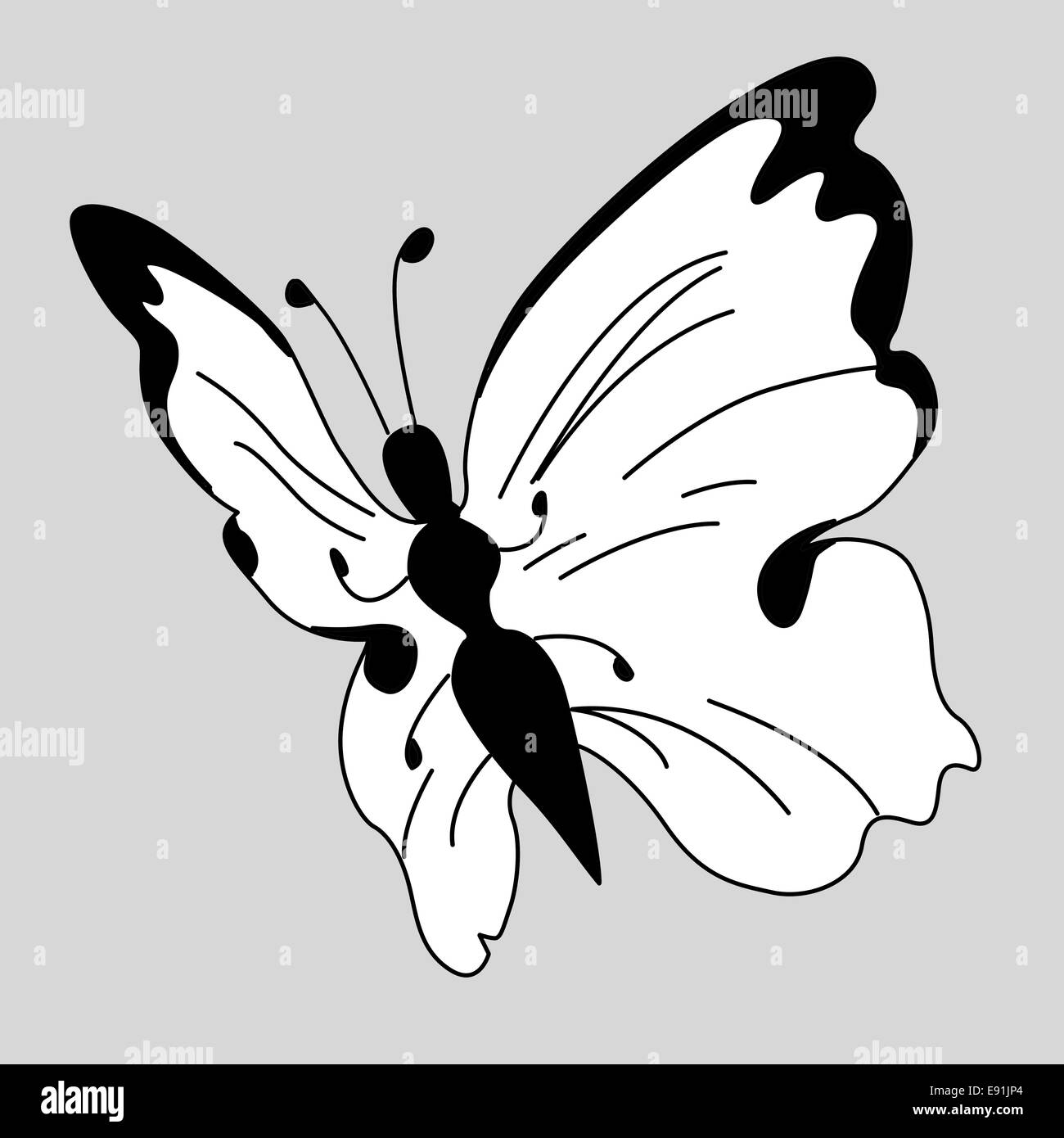 erbleichen Schmetterling auf grauem Hintergrund Stockfoto