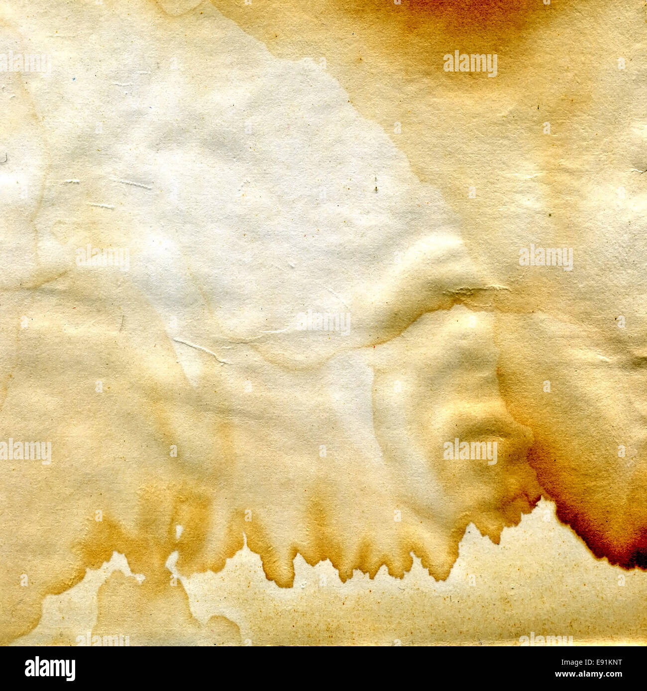 Seite des alten Buches Stockfoto