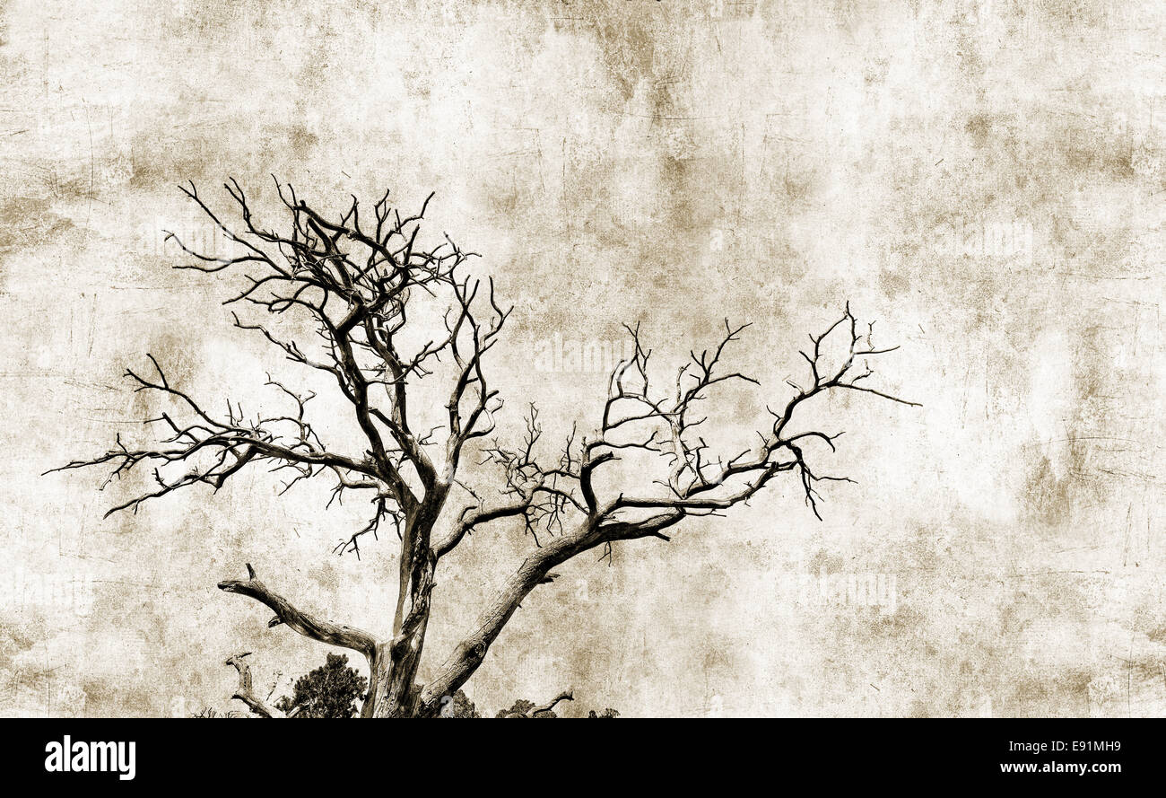 Grunge-Baum Stockfoto