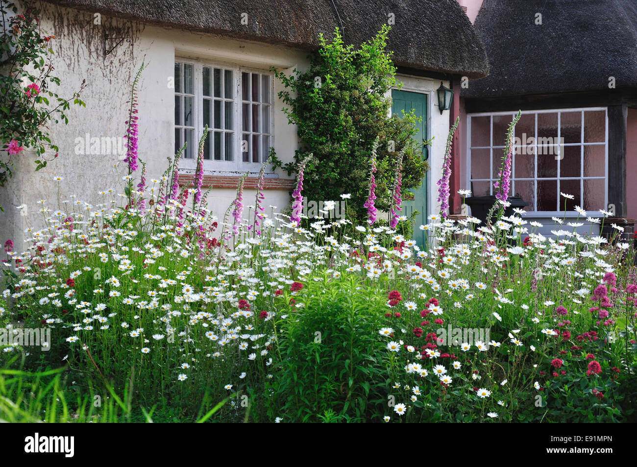 Ein typisch englischen Cottage garden Dorset UK Stockfoto