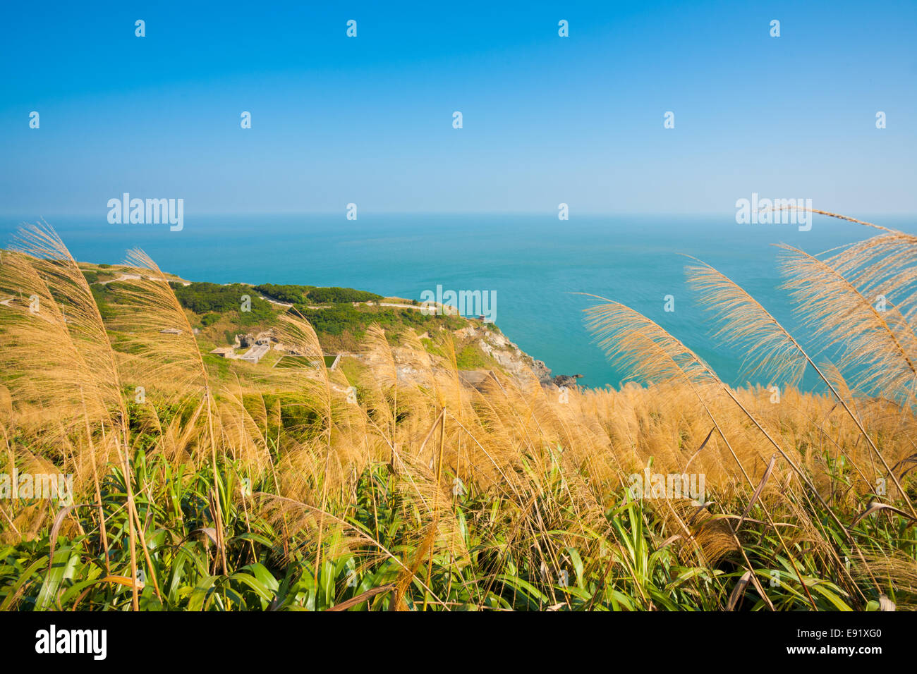 Matsu Juguang Insel hohe Gräser H Stockfoto