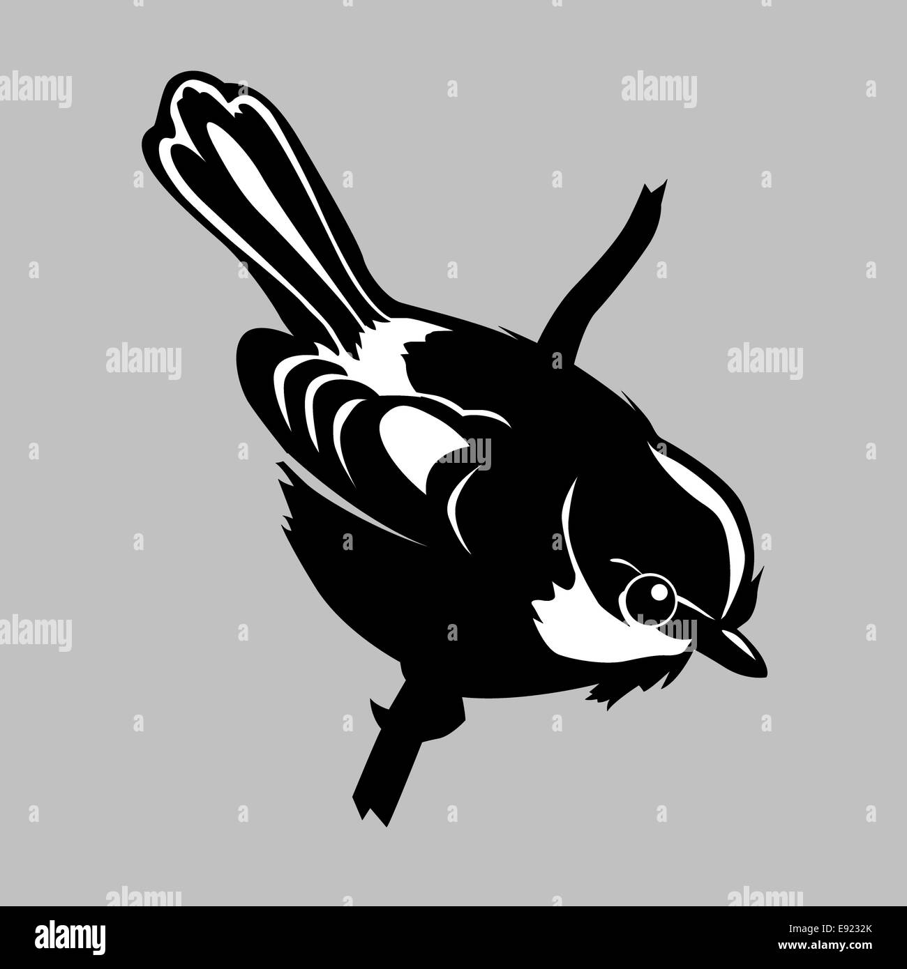 Vogel-Silhouette auf grauem Hintergrund Stockfoto