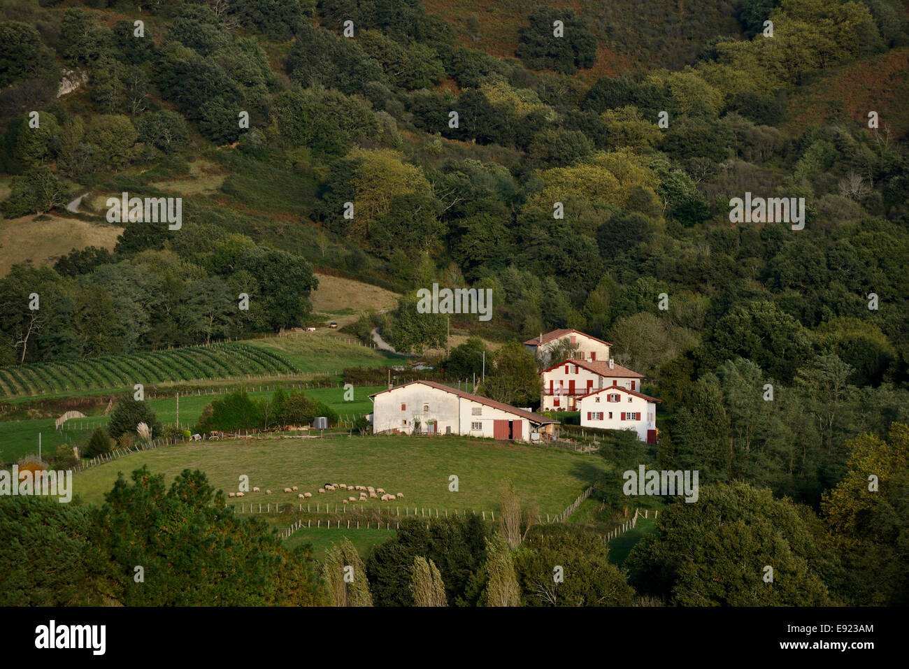 Frankreich, Pays Basque, atlantischen Pyrenäen, Labourd, traditioneller Bauernhof und seine Weiden Stockfoto