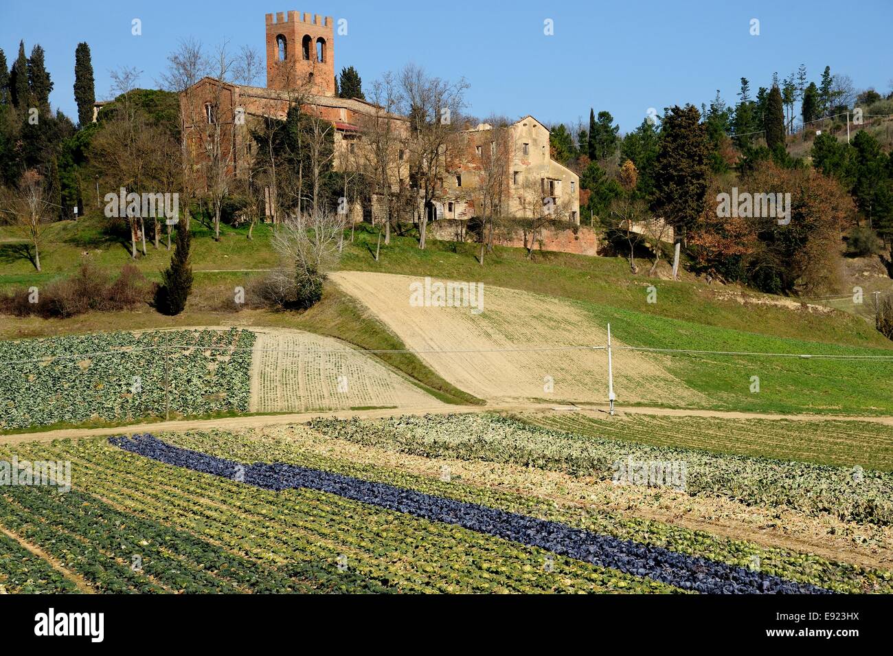 Pieve di San Giovanny Battista (Italien) Stockfoto