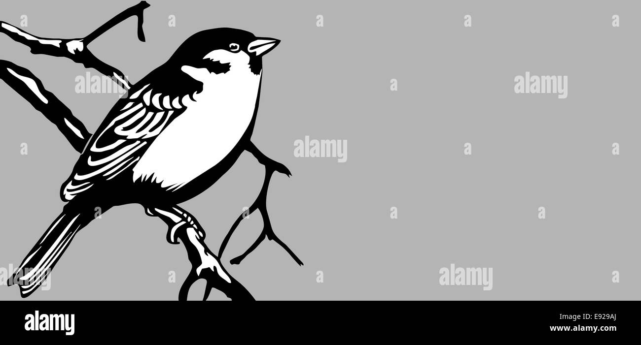 Vogel-Silhouette auf grauem Hintergrund Stockfoto