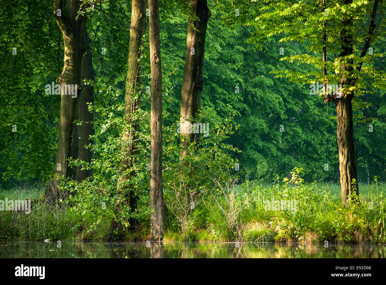 Park in Berlin Stockfoto