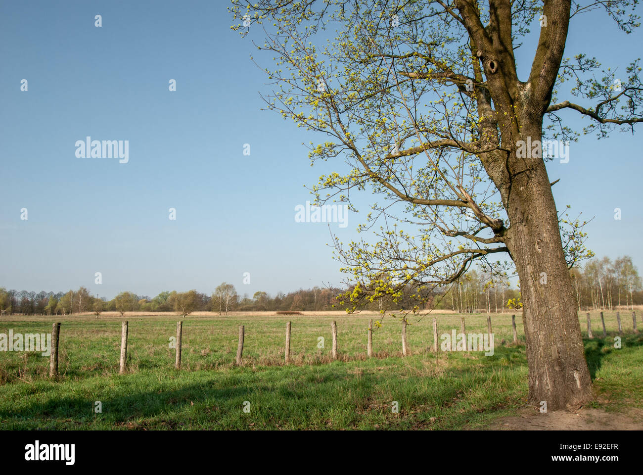 Karower teiche Fotos und Bildmaterial in hoher Auflösung Alamy