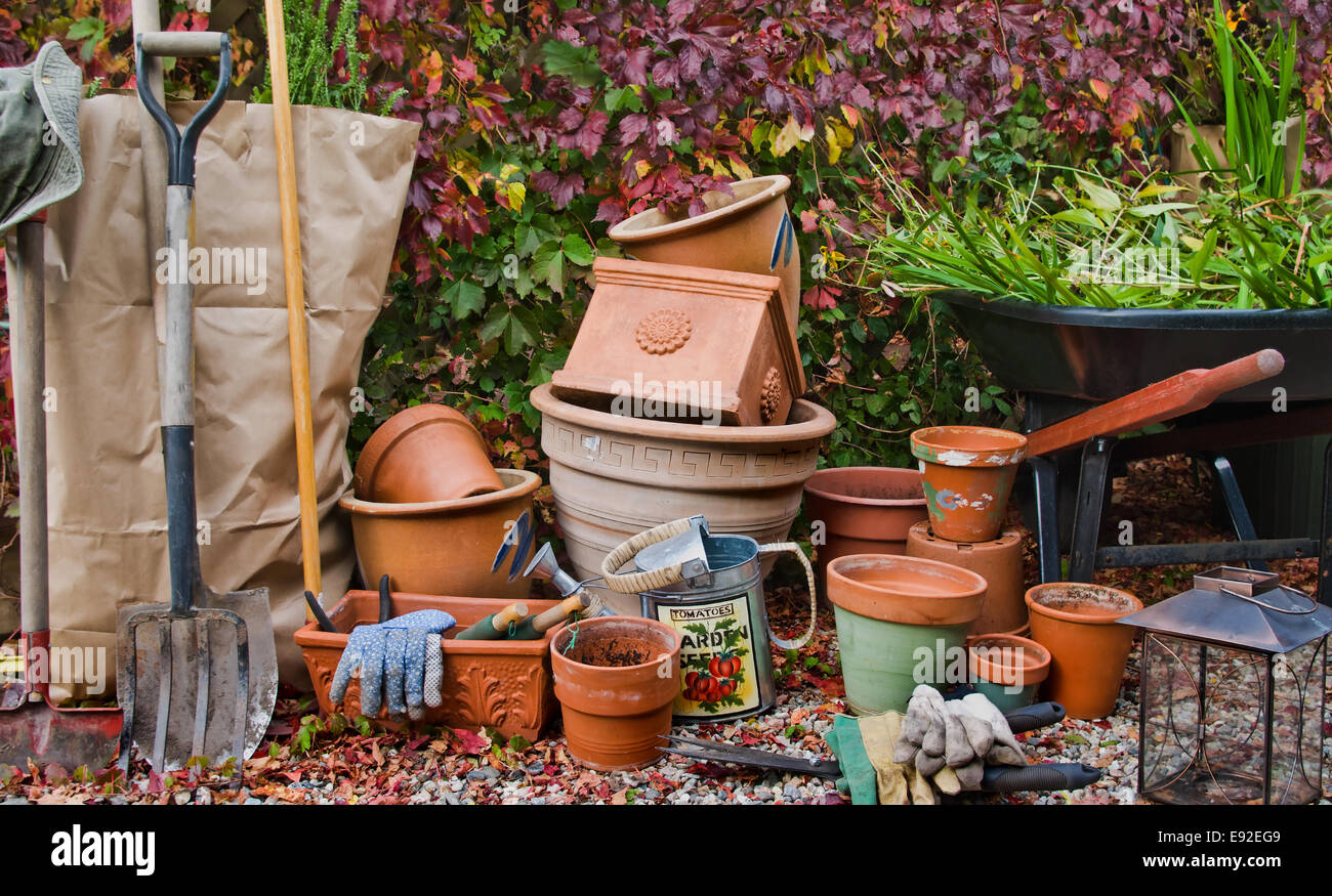 Schließen den Garten Stockfoto