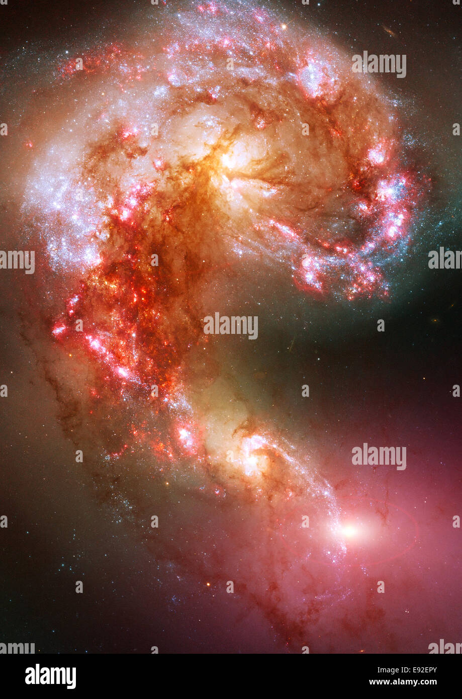 Raum-Sterne und Nebel Stockfoto