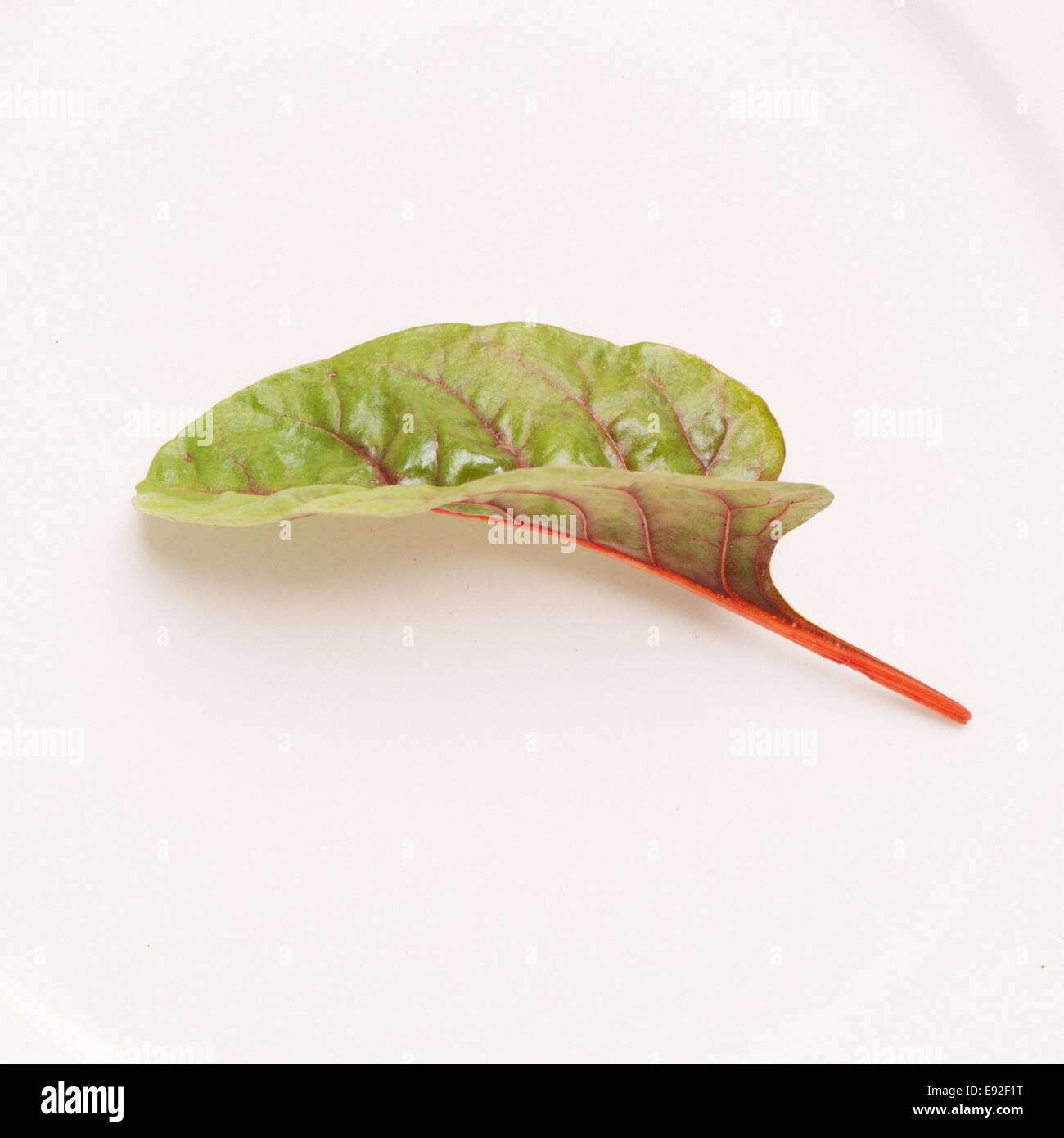 Rote Beete Blatt, organisch angebaute Gemüse auf weißen Teller. Stockfoto