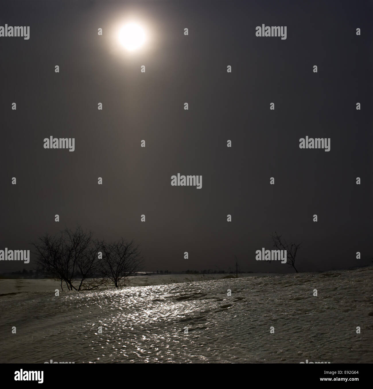 Mondschein-Nacht Stockfoto