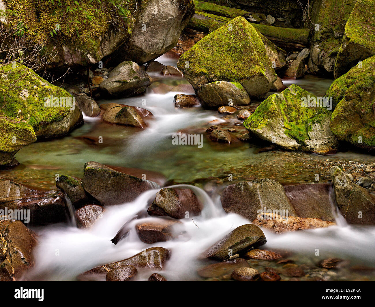 Weiches Wasser ergießt sich der Gebirgsbach, der Skagit River führt Stockfoto