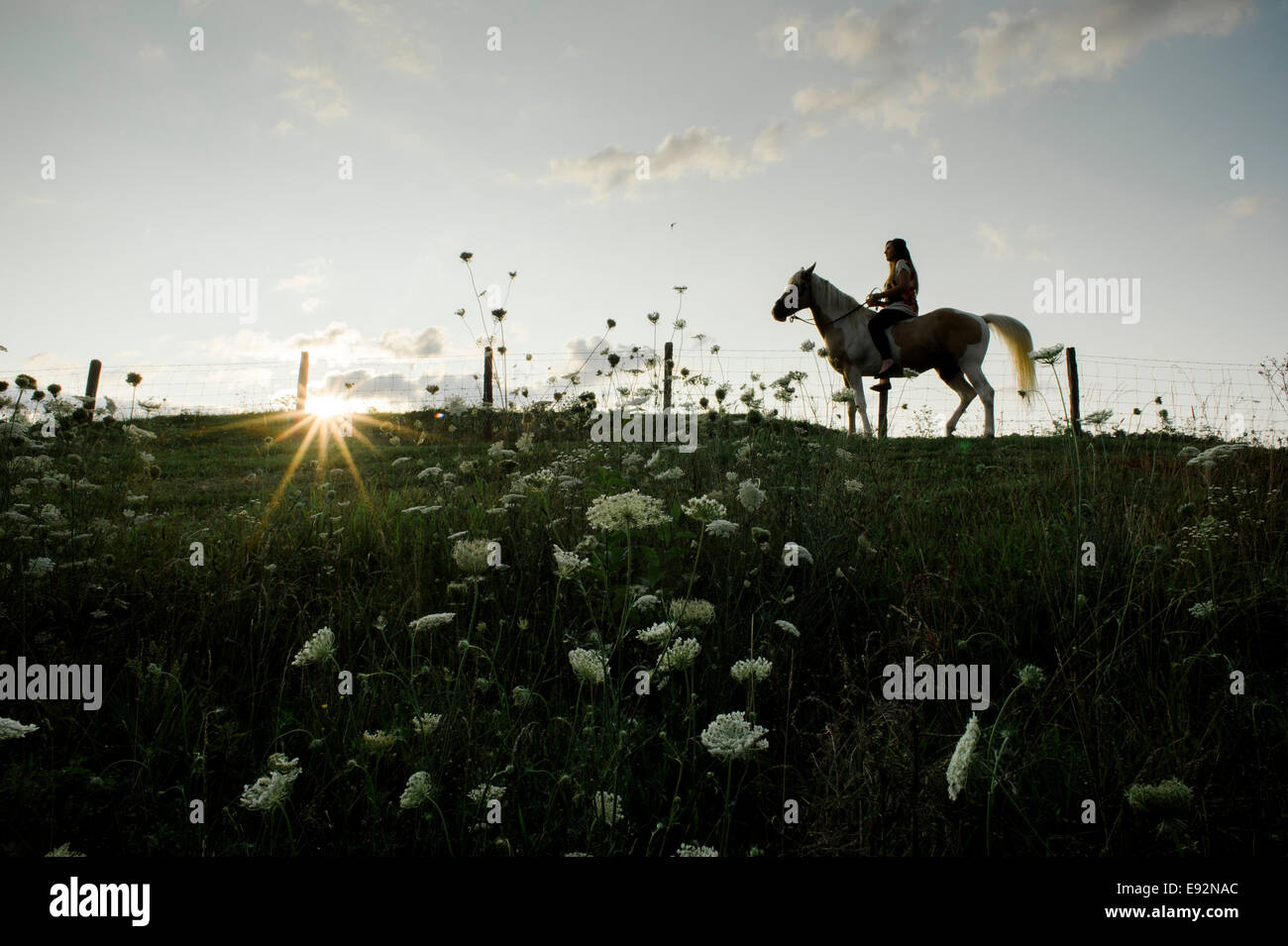Silhouette der jungen Frau Reiten Pferd auf Hügel, Wildblumen im Vordergrund Stockfoto