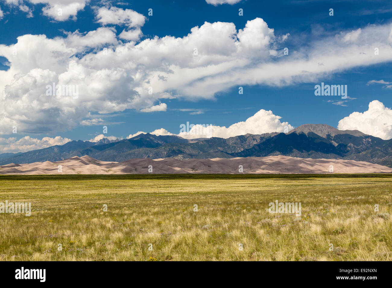 Sanddünen am Great Sand Dunes National Park in Colorado, USA mit den Bergen im Hintergrund Stockfoto