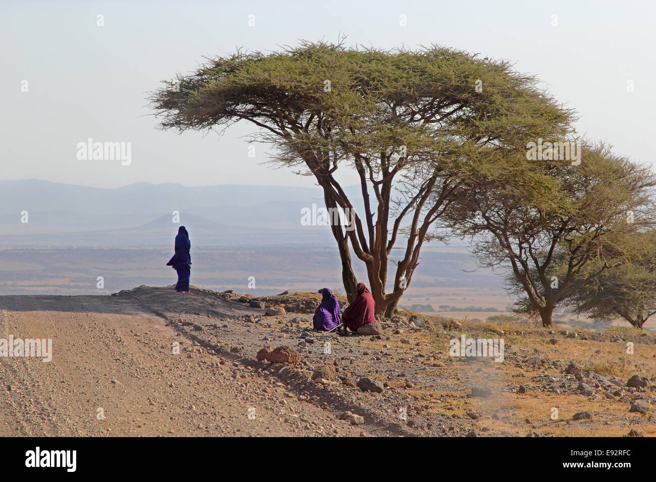 Eine Gruppe von drei Massai unter einer Akazie entlang einer Straße am Rand des Ngorongoro Conservation Area, Tansania Stockfoto