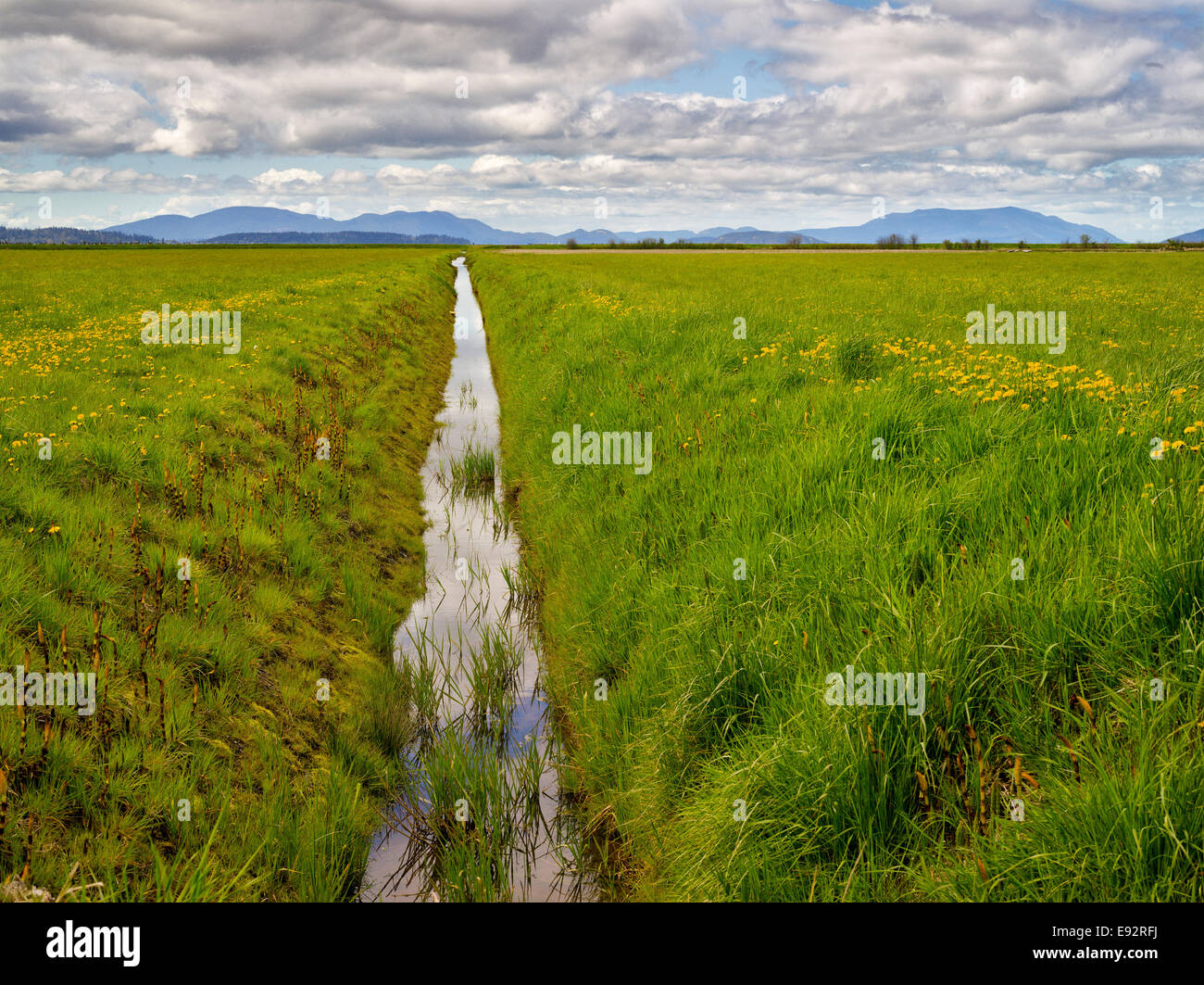 Kanal fließt Regenwasser aus dem Meer abgerungen Ackerland Stockfoto