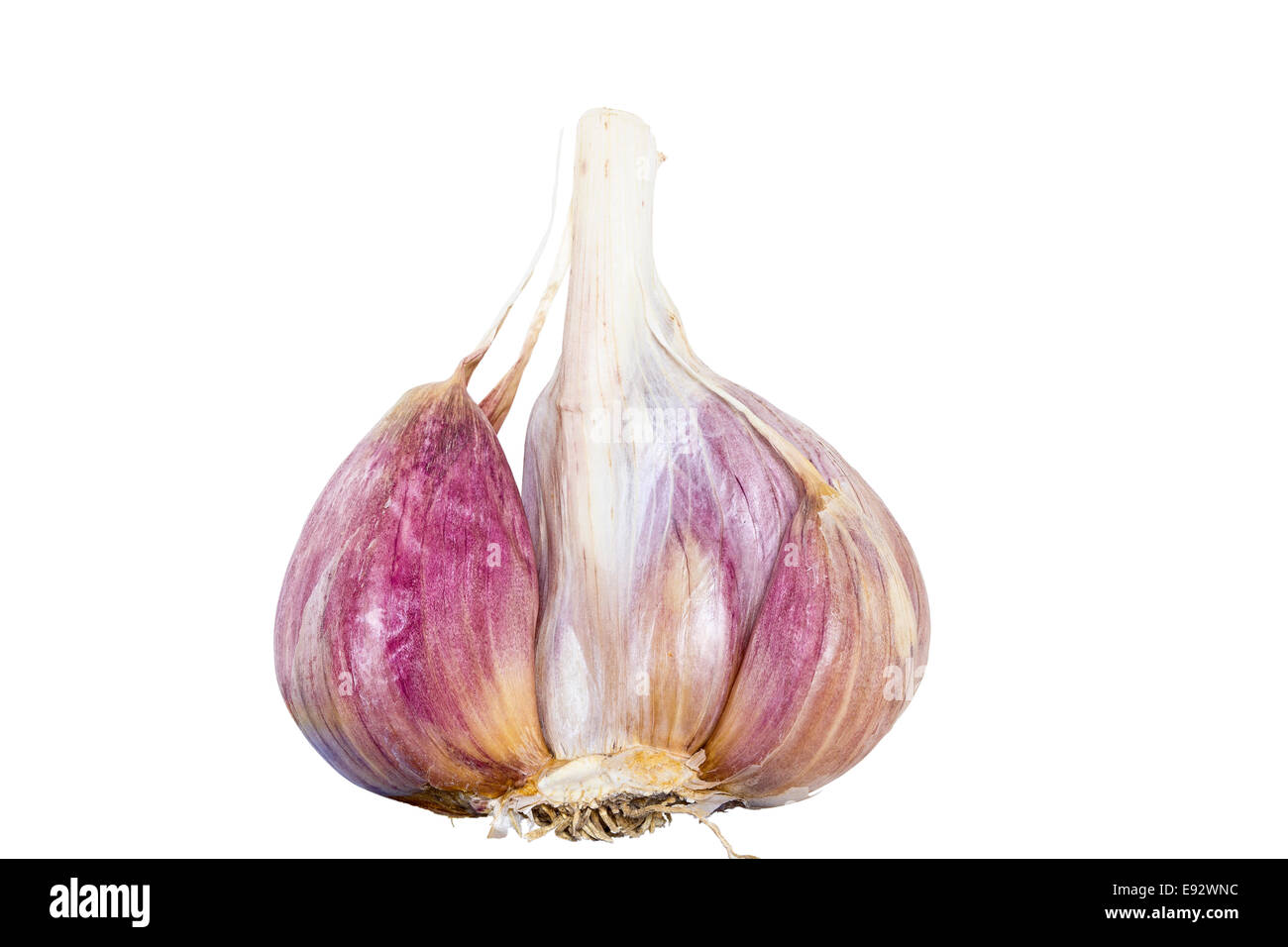 Knoblauch Stockfoto