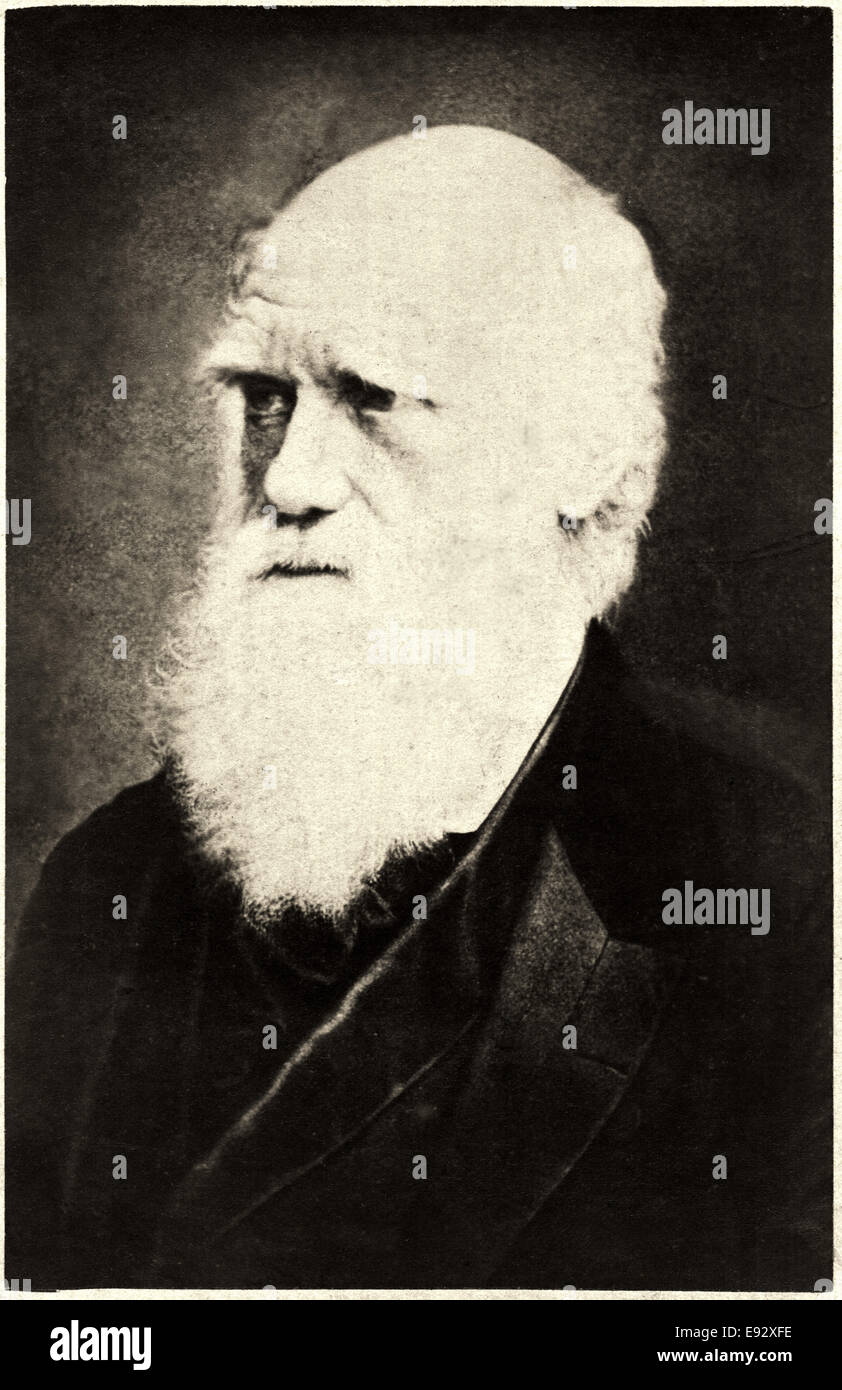 Charles Darwin (1809-1882), englischer Naturforscher, close-up Portrait, um 1870 Stockfoto