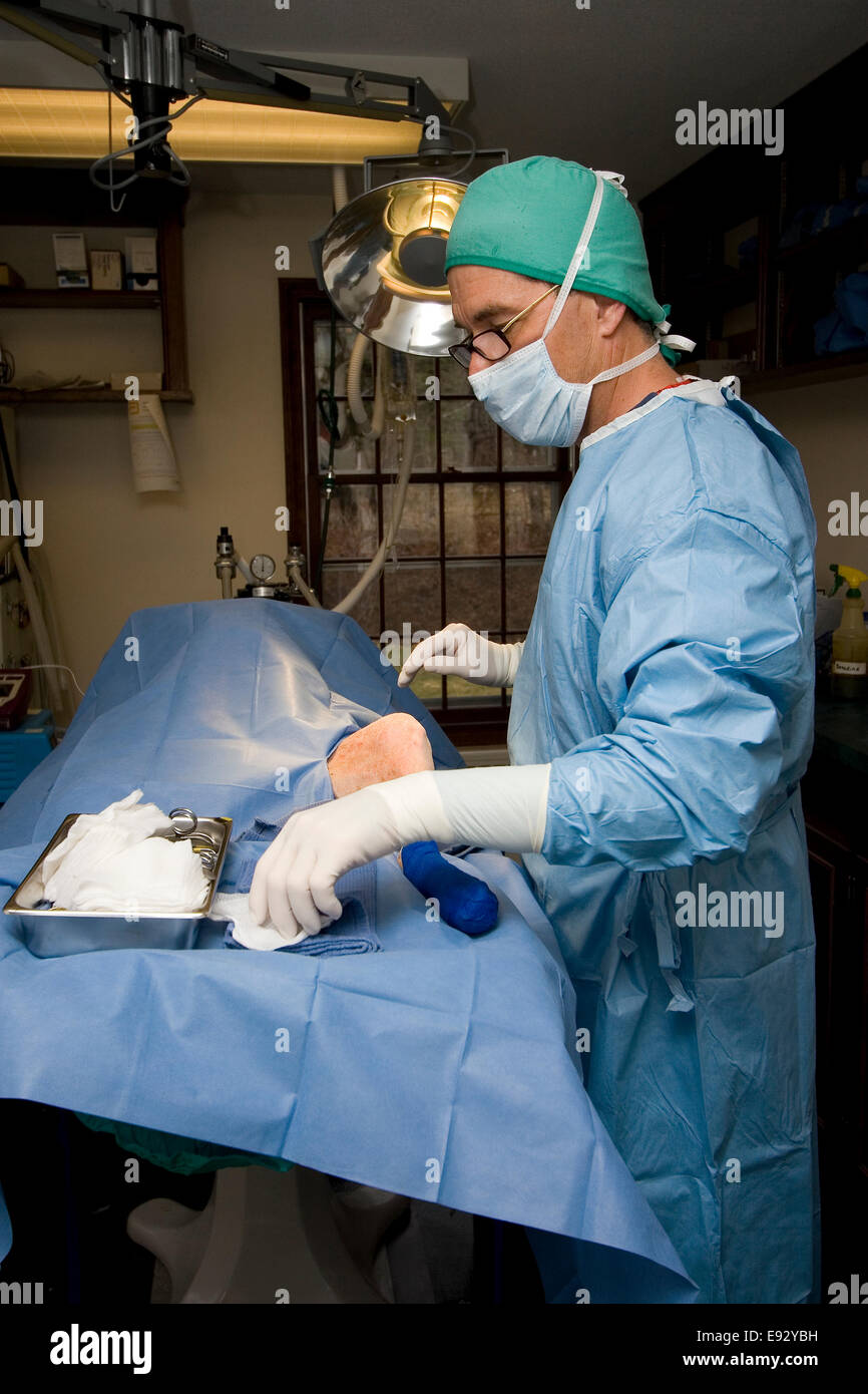 Chirurg in Scrubs in der Chirurgie im OP-Saal Stockfoto