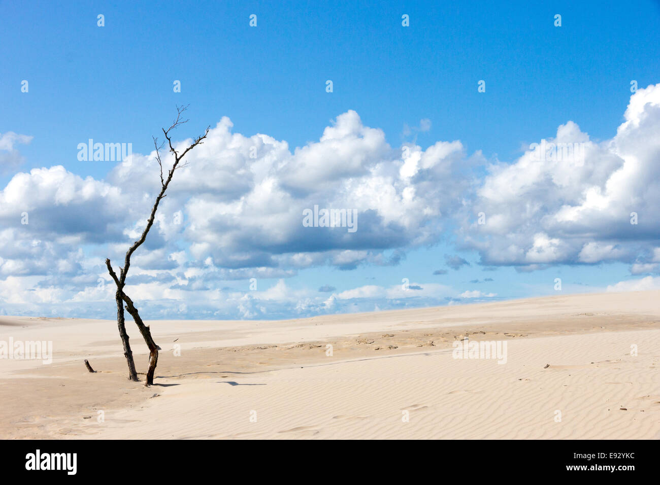 Die Wanderdünen im Slowinski Nationalpark, Polen Stockfoto