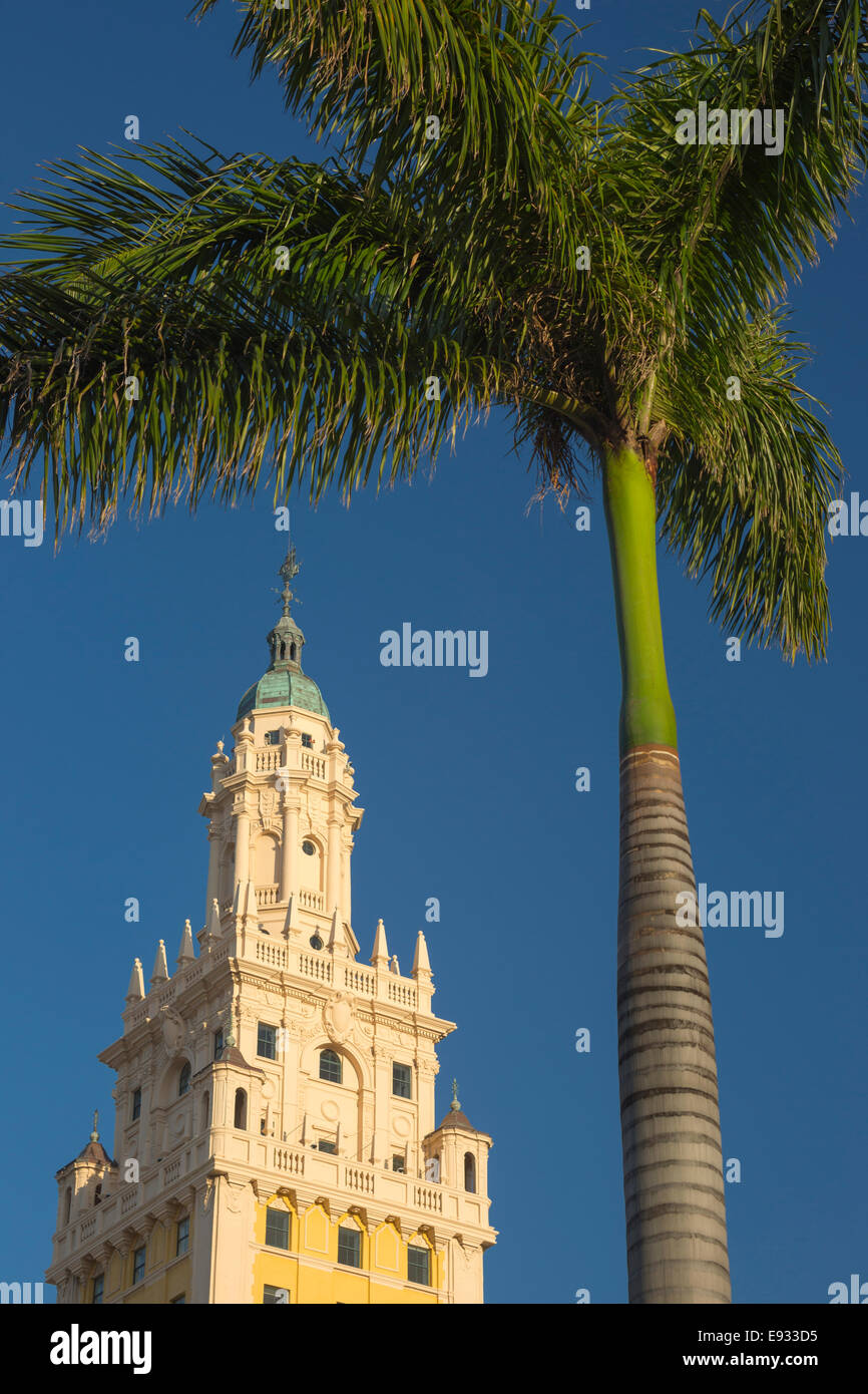 PALM TREE FREEDOM TOWER ZEITGENÖSSISCHE KUNST MUSEUM MIAMI DADE COLLEGE DOWNTOWN MIAMI FLORIDA USA Stockfoto