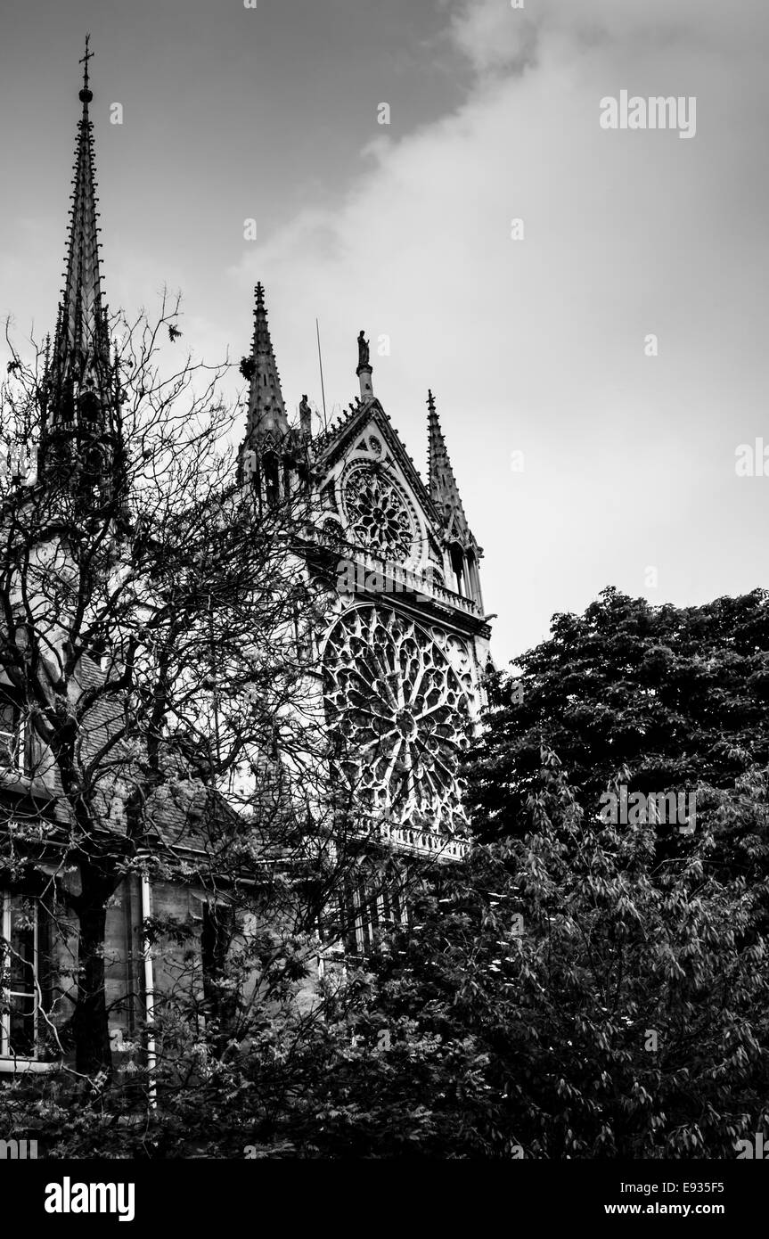 Kathedrale Notre-Dame in schwarz und weiß, Paris, Frankreich Stockfoto