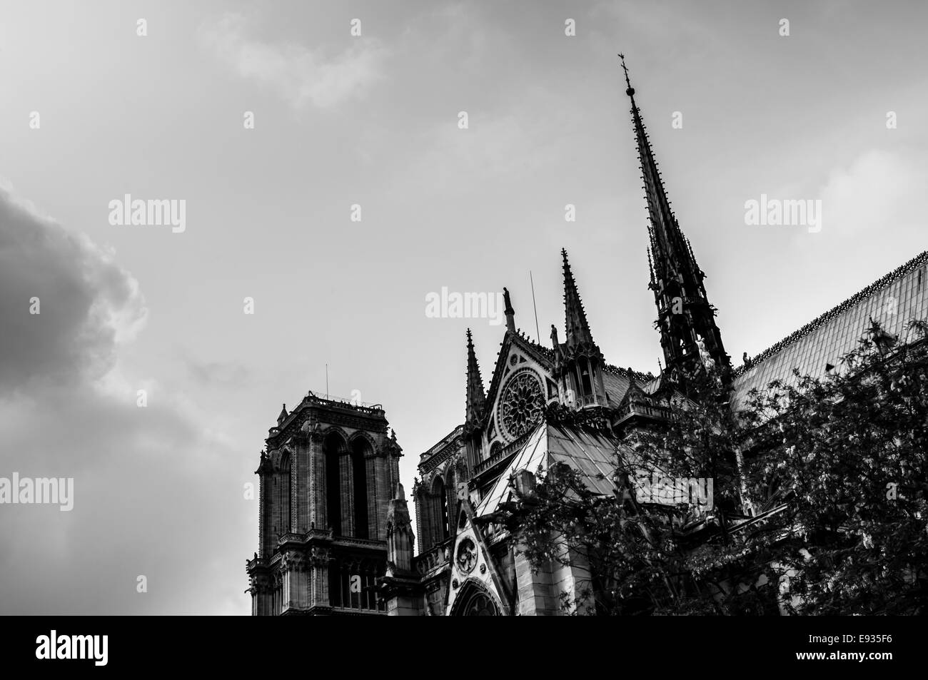 Kathedrale Notre-Dame in schwarz und weiß, Paris, Frankreich Stockfoto