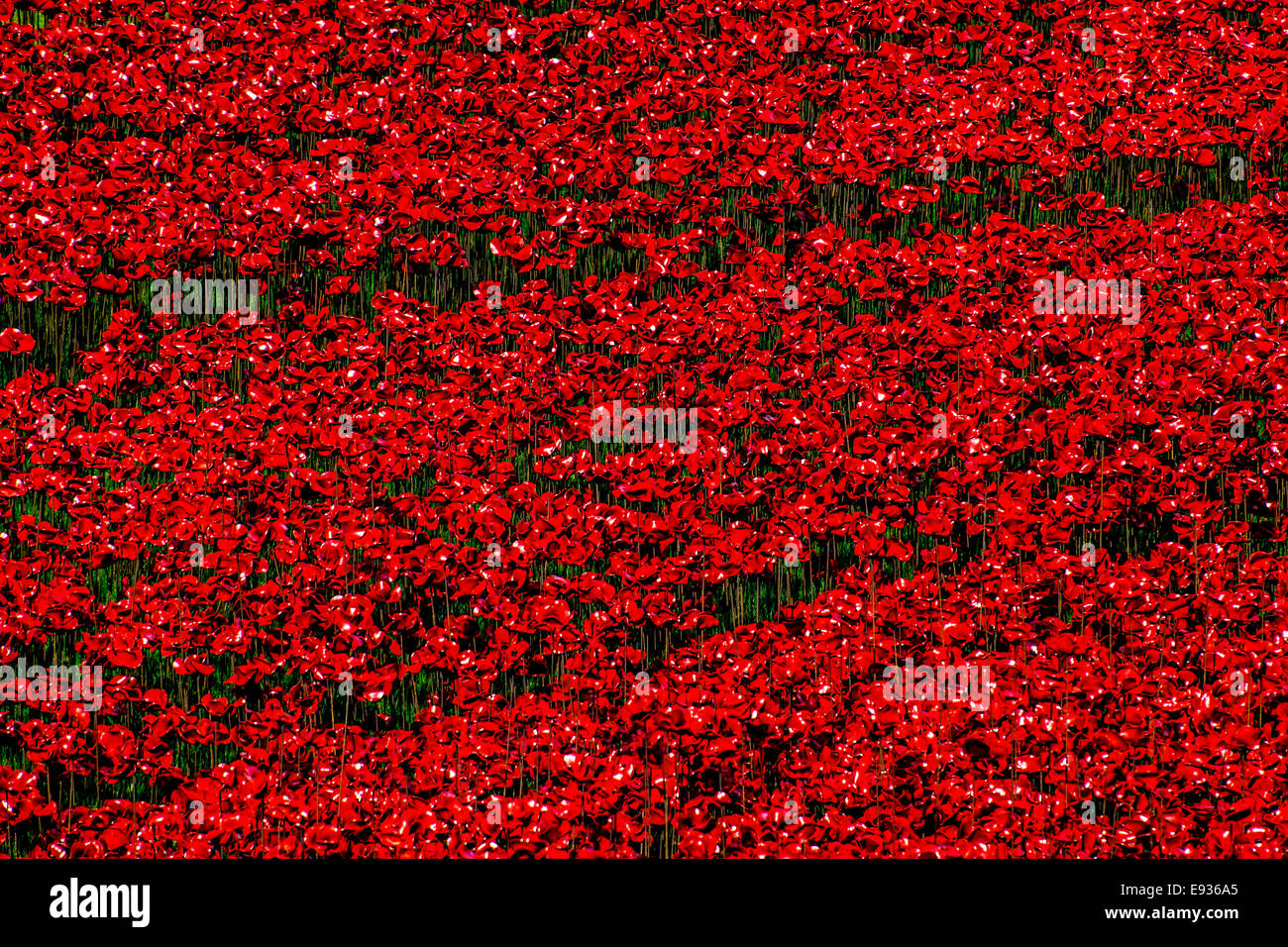 Mohn-Installation auf den Tower of London zu die britischen Soldaten erinnern, die sich für ihr Land im 1. Weltkrieg geopfert Stockfoto