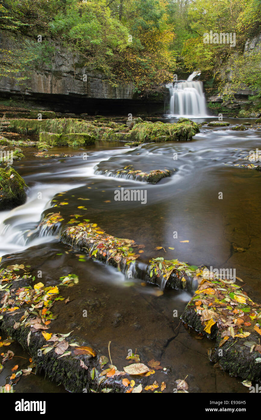 Herbst im Kessel fällt im Dorf West Burton, Yorkshire Dales National Park, Yorkshire, England, Großbritannien Stockfoto