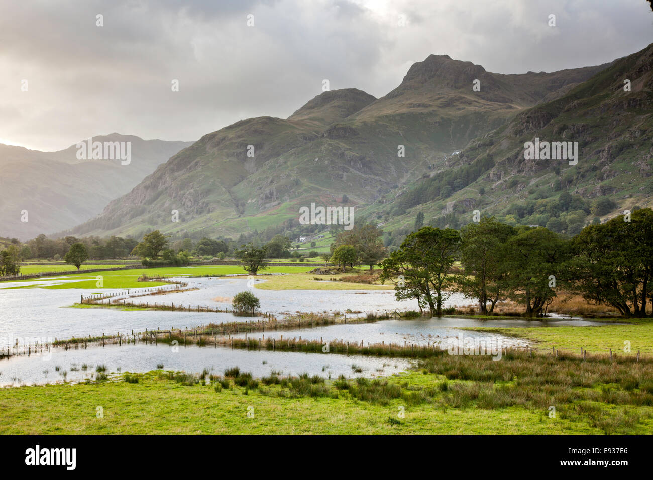 Überschwemmte Wiesen auf dem Fluß Brathay, Langdale, Nationalpark Lake District, Cumbria, England, UK Stockfoto