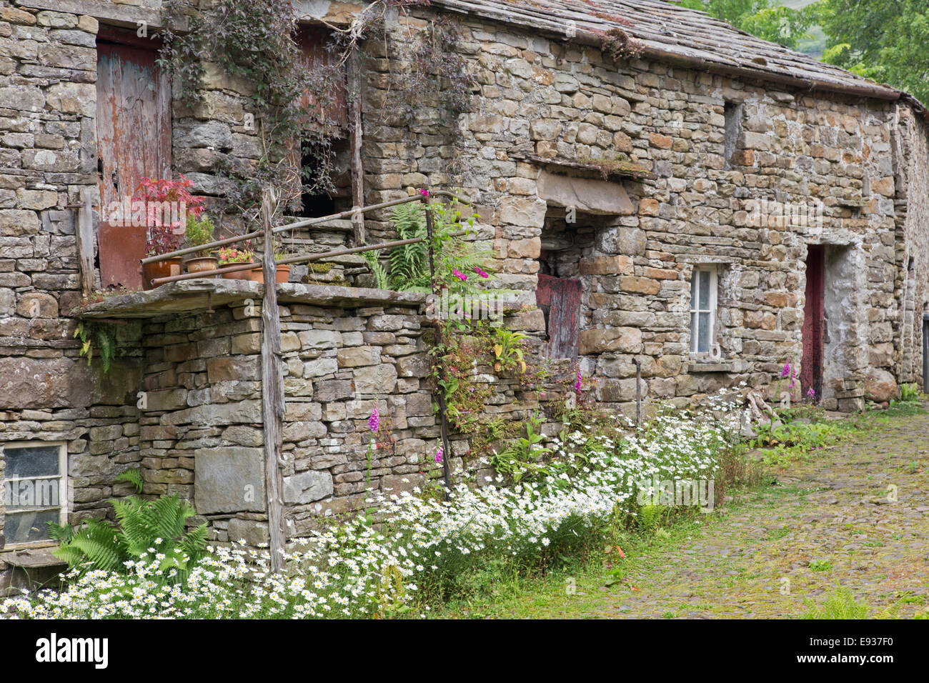 Traditionelle bäuerliche steinerne Scheune und Haus, Yorkshire Dales National Park, North Yorkshire, England, UK Stockfoto