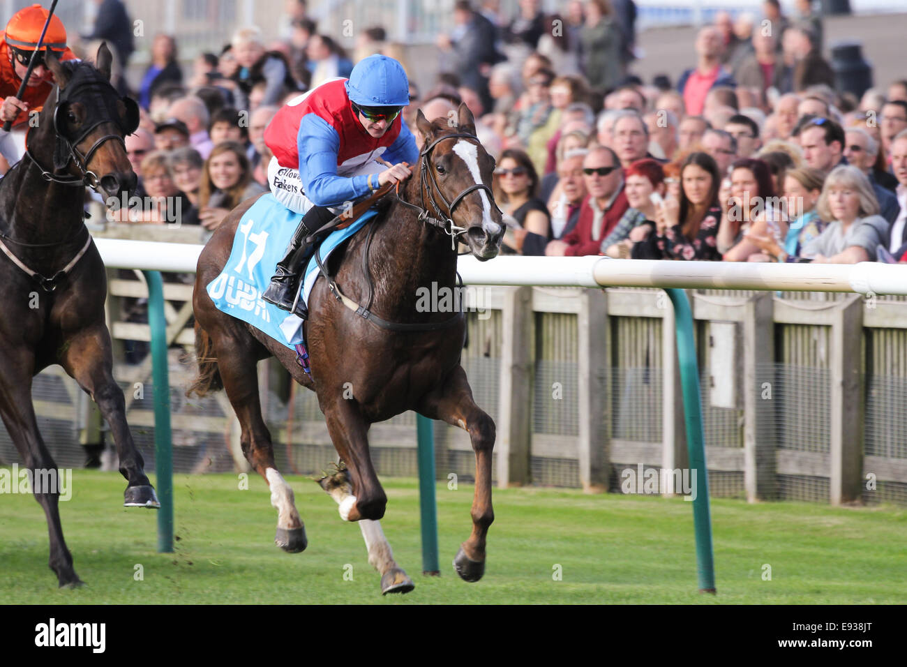 Newmarket, Großbritannien. 17. Oktober 2014. Richard Kingscote Reiten Royal Razalma gewinnt die Dubai Cornwallis Einsätze während The Future Champions Day Rennen in Newmarket Racecourse am 17. Oktober 2014 in Newmarket, England. Bildnachweis: Andy vor/Alamy Live-Nachrichten Stockfoto