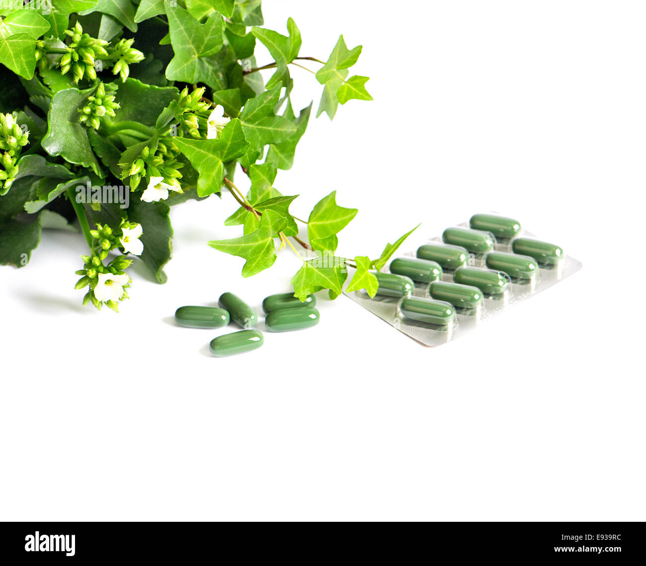 Kräutermedizin Pillen mit Grünpflanze auf weißem Hintergrund. Alternative Therapie-Konzept Stockfoto
