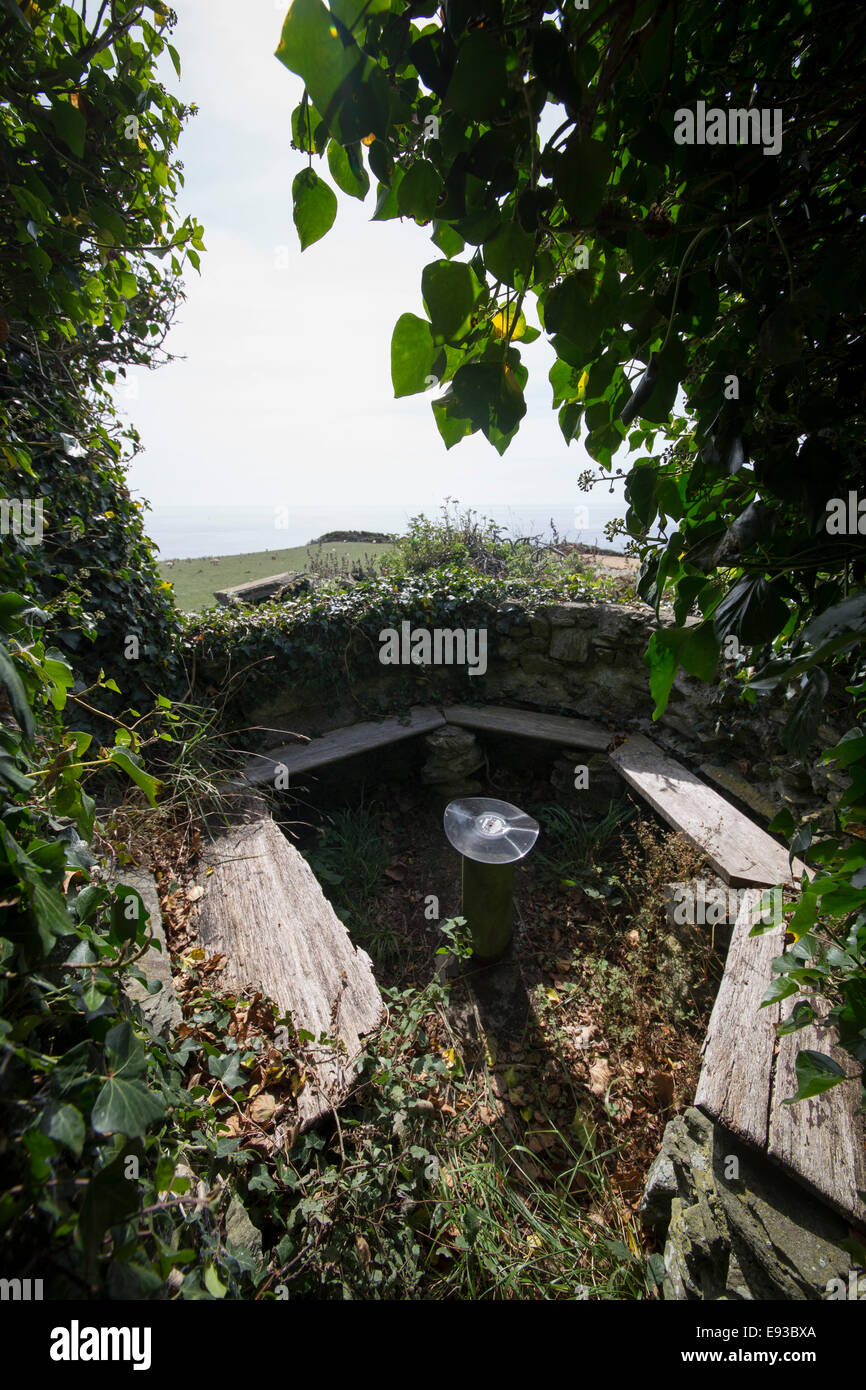 Marode Landschaftsgarten am Peter Webber Hütte am East Prawle, Devon Stockfoto